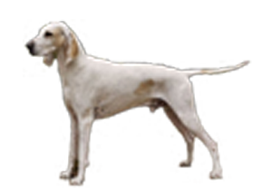 porcelaine