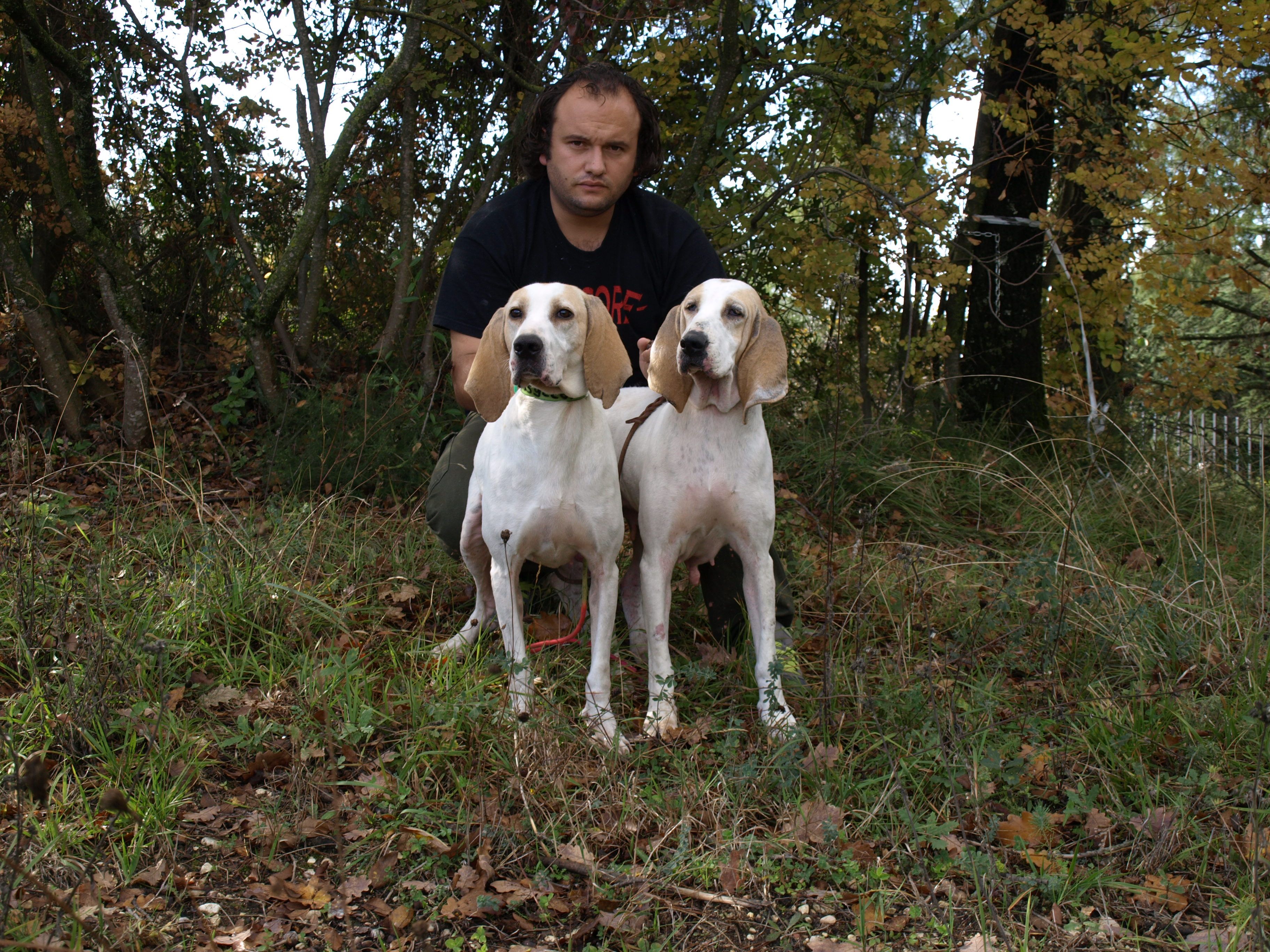 Junior Handling kategorie Dít a pes 6-12let