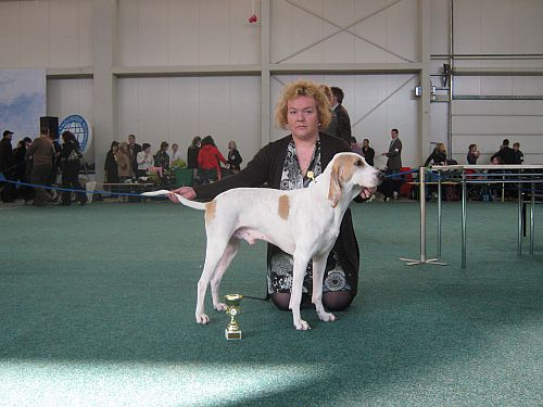 5.3.2011, Victory Show Šampion šampion, Bratislava, Slovensko, SK